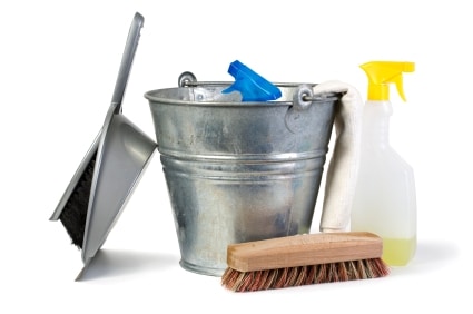 WordPress site cleanup service
